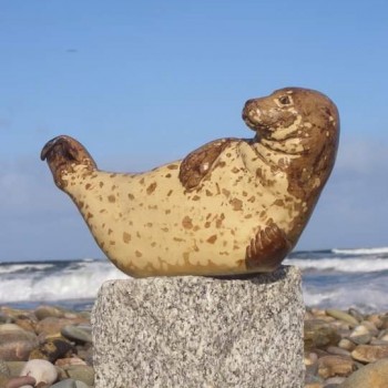 susan macinnes seal balance 2a