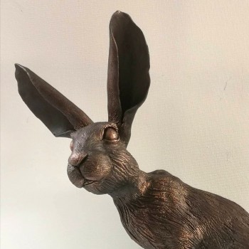 suz macinnes young hare