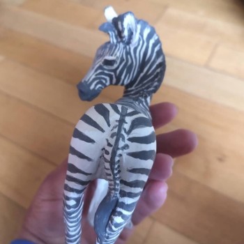 zebra in hand